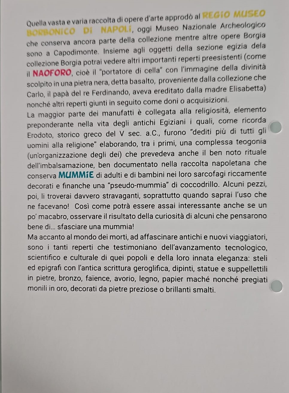 2023-La-sezione-egizia-II